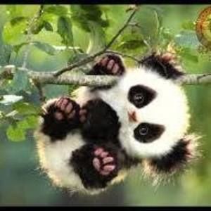 Meet your Posher, Joanne